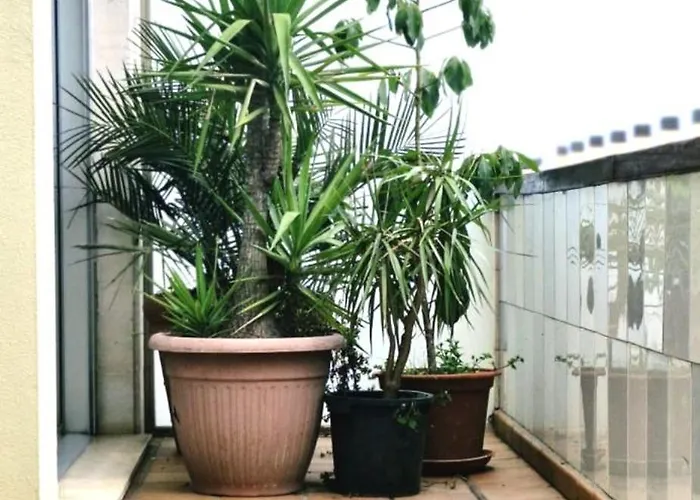 Prázdninový dům Relax Y Conexion - Cerca De Todo